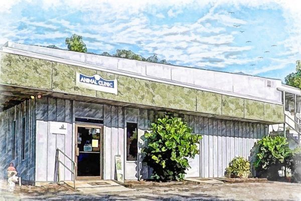 Clinic.exterior.painted