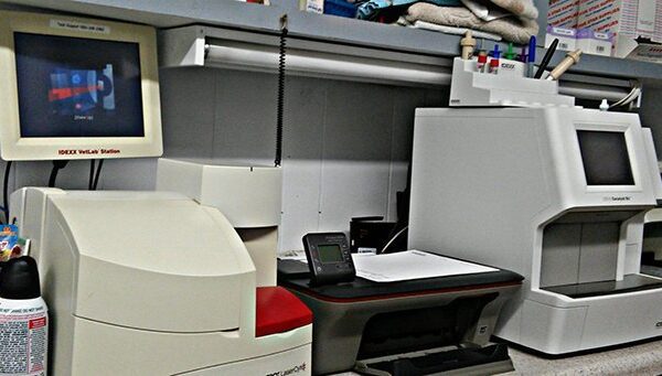 IDEXX-vet-lab