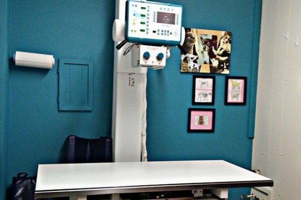 radiology