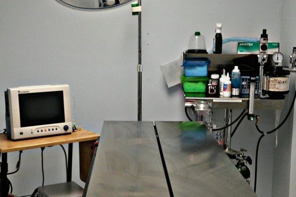 surgery
