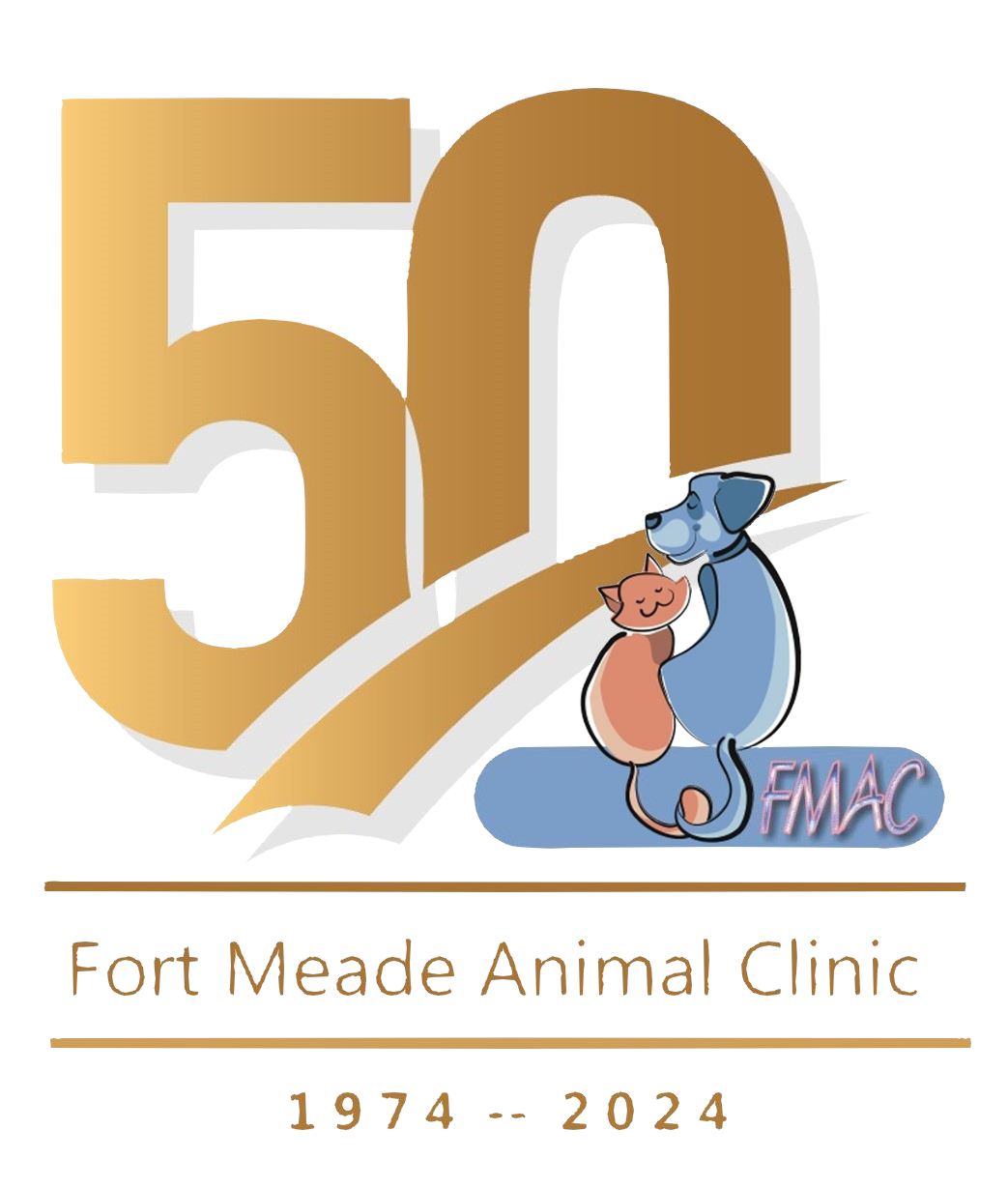 Fort Meade Animal Clinic